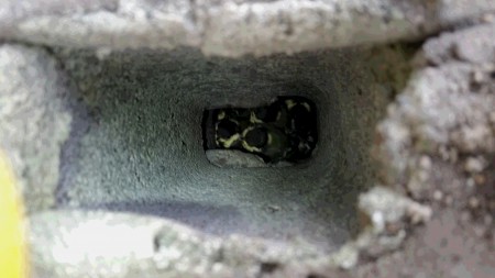 20160507_144705
