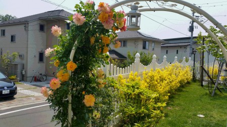 20160521_103721