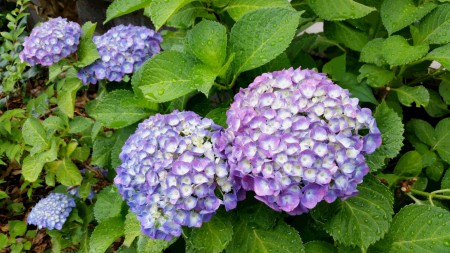 20160605_095206