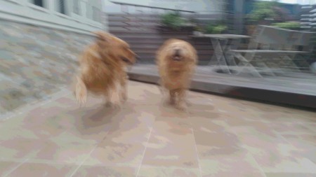 20160607_182409