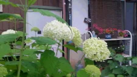 20160609_183455