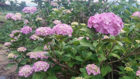 20160609_183809