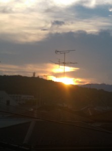 IMAG0217