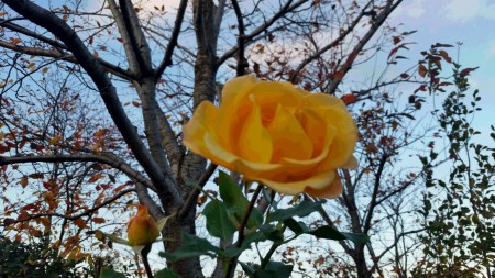 20161129_155847
