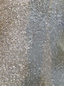 IMG_6578