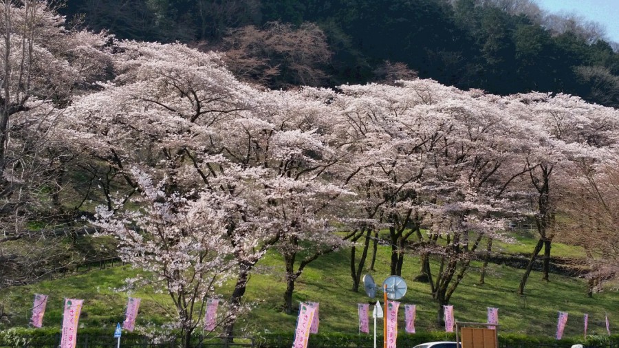 20170405_100141