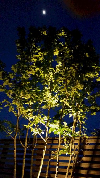 20170505_190541