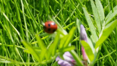 20170429_102626