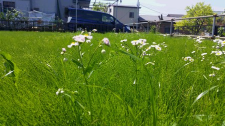 20170429_103007