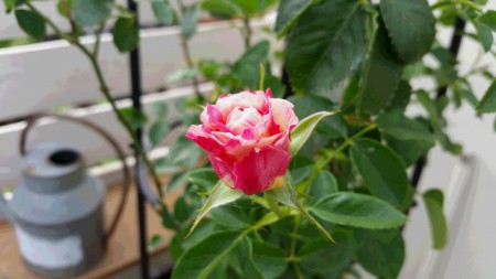 20170609_174356