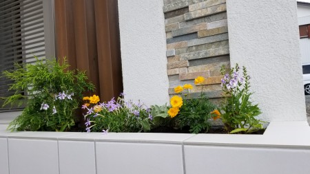 20170729_090438