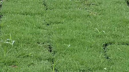 20170811_072726