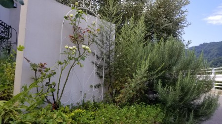 20170824_092305