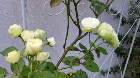 20170824_092335