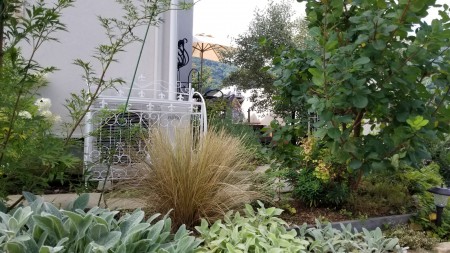 20170824_095541