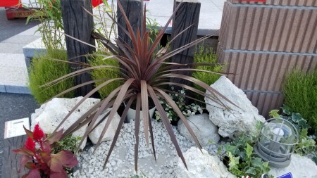 20170910_152651