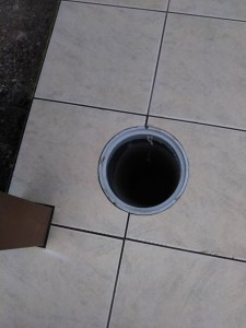 IMG_8510