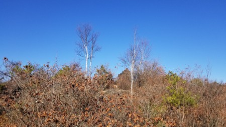 20171110_142942
