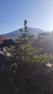 20171110_143925