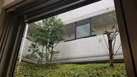 20171111_132628