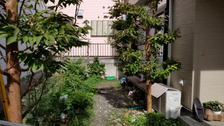 20170825_081953