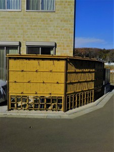 IMG_8970