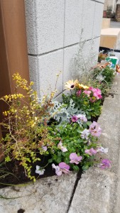 20180303_155620