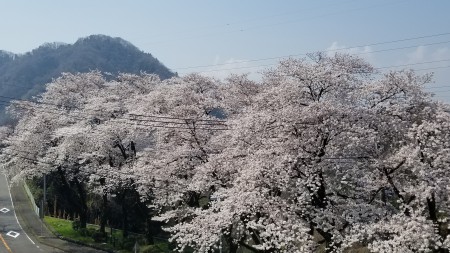 20180328_101141