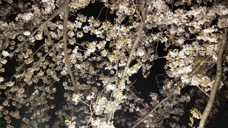 20180401_191444