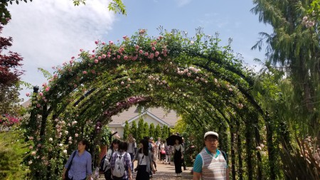 20180506_104214