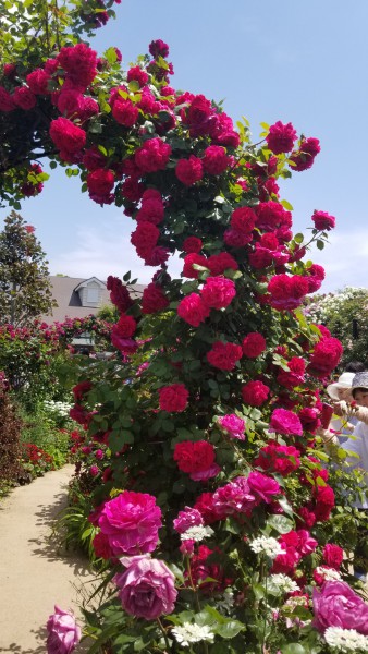 20180506_104314
