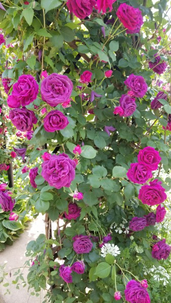 20180506_104935