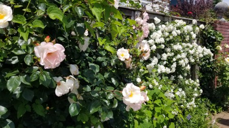 20180506_105120