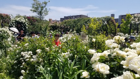 20180506_105139