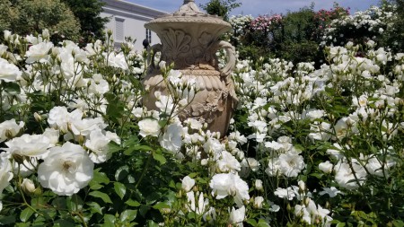 20180506_105358