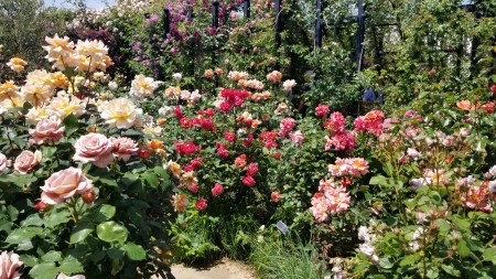 20180506_105809