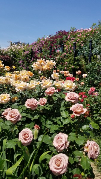 20180506_105823