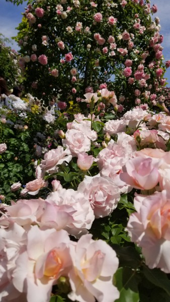 20180506_110321