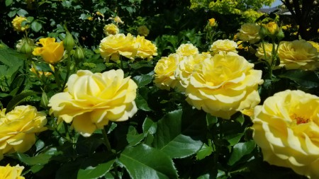 20180506_111005