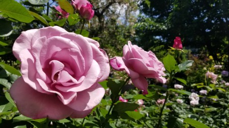 20180506_111523