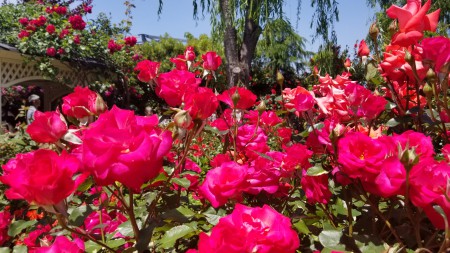 20180506_111836