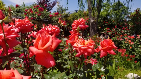 20180506_111850