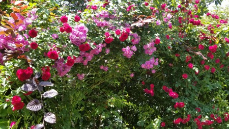 20180506_112237