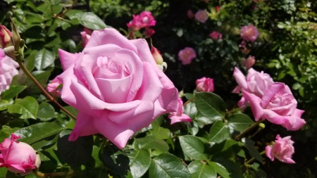 20180506_112607