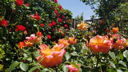 20180506_112913