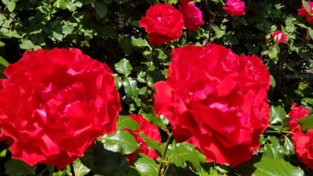 20180506_113004