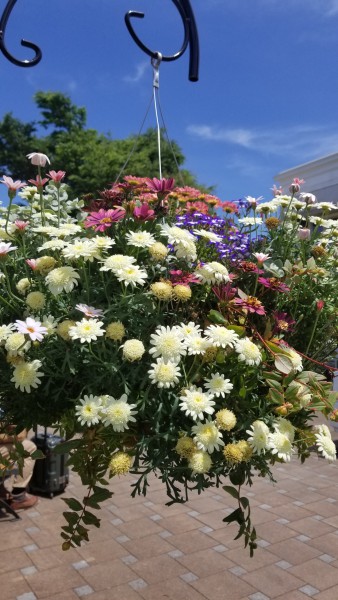 20180506_120243