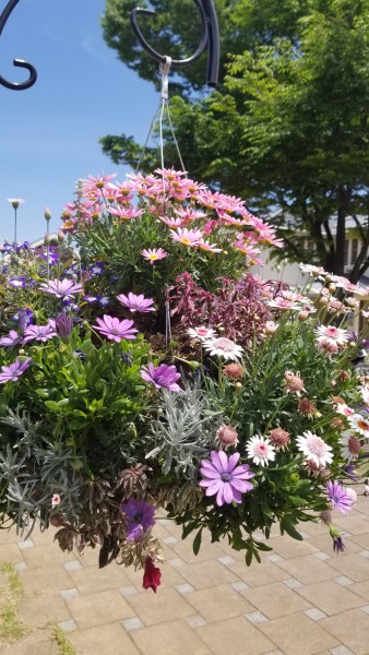 20180506_120253