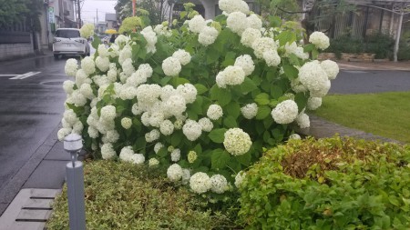 20180606_150058