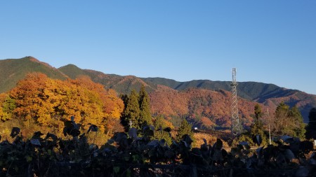 20171129_072338